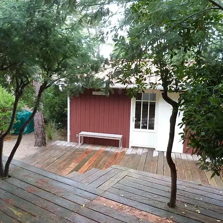 Cap-ferret 44 Hectares *